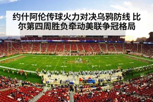 american football stadium crowd